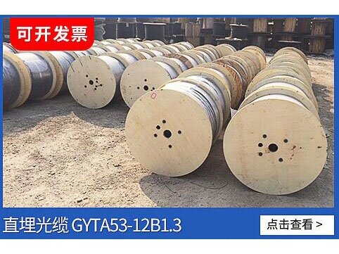 直埋光纜GYTA53-12B1.3